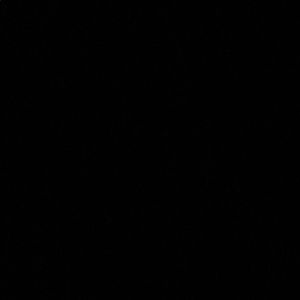 Meet your Posher, Summer